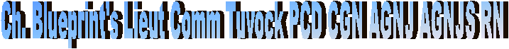 Ch. Blueprint's Lieut Comm Tuvock PCD CGN AGNJ AGNJS RN
